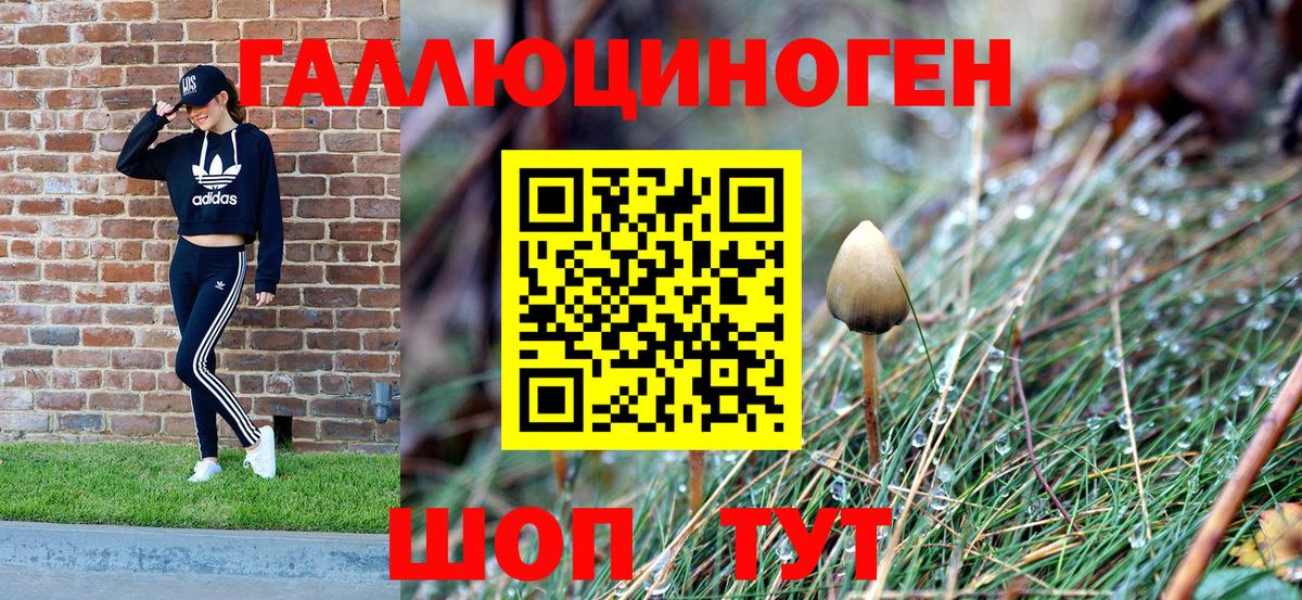 Галлюциногенные грибы Psilocybine cubensis  Галлюциногенные грибы GOLDEN TEACHER  Вход с VPN  Камышин 